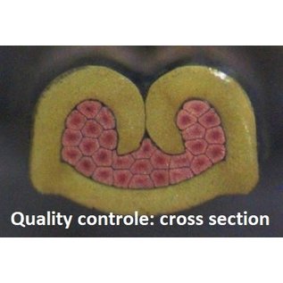 TE Connectivity TE Deutsch DT Pigtail-set: 6-Pos. Plug DT06-6S + 6x 2meter 1,5mm2  FLRY-B kabel