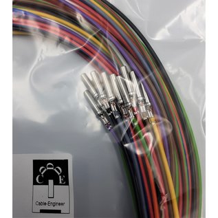 Cable-Engineer Deutsch DT Pigtail-set: 12-Pos. Plug (man) met 12x 2meter 0,75mm2 FLRY-B kabel