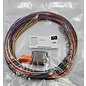 Cable-Engineer Deutsch DT Pigtail-set: 12-Pos. Plug (man) met 12x 2meter 0,75mm2 FLRY-B kabel