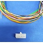 Molex Complete set met Molex MiniFit Jr. Receptacle connector 12-Pos. (2-Rij) + 12x 2m. 0,50mm2 kabel  met contacten (pre-crimped)