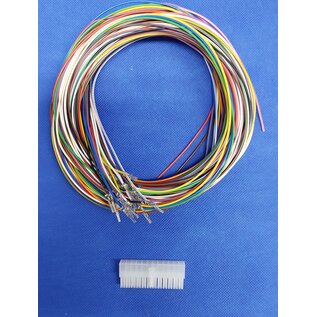 Molex Complete set met Molex MiniFit Jr. Receptacle connector 24Pos. (2-Rij) + 24 x 2m. 0,50mm2 kabel  met contacten (pre-crimped)