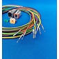 Cable-Engineer Deutsch DT Pigtail-set: 6-Pos. Receptacle & Plug + 12x 2meter 1,5mm2 FLRY-B kabel