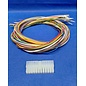 Molex Complete set met Molex MiniFit Jr. Receptacle connector 24-Pos. (2-Rij) + 24x 2m. 0,50mm2 FLRY-B kabel  met contacten (pre-crimped)