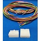 Molex Complete set met Molex MiniFit Jr. Plug & Receptacle 12-Pos. (2-Rij) + 24x 2m. 0,50mm2 kabel en contacten