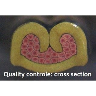 TE Connectivity TE Deutsch DT Pigtail-set: 8-Pos. Plug DT06-08SA + 8x 2meter 1,5mm2  FLRY-B kabel