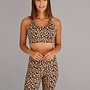Wild Cheetah Bra