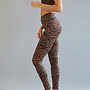 Brown Zebra Legging