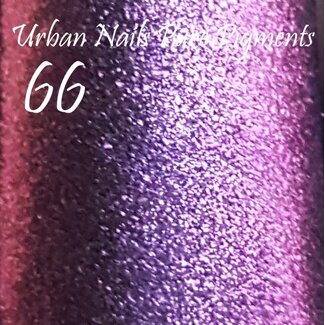 Urban Nails Pure Pigment 66 Paars