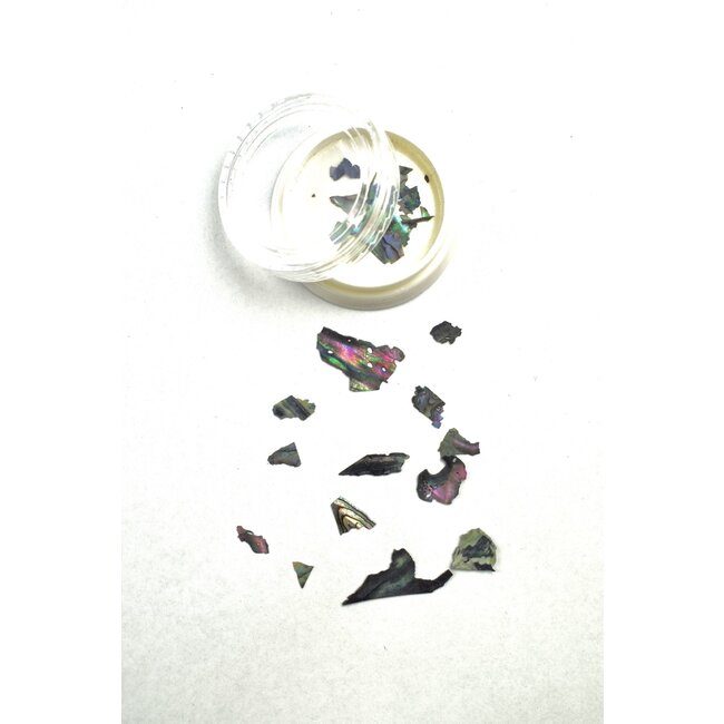 Urban Nails Abalone 12 Zwarte multicolor