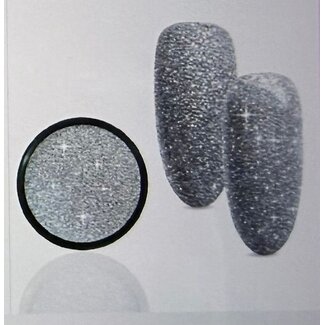Urban Nails Reflective Holo Silver