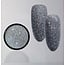 Urban Nails Reflective Holo Silver