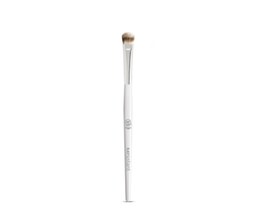 Raysistant Eyeshadow Brush
