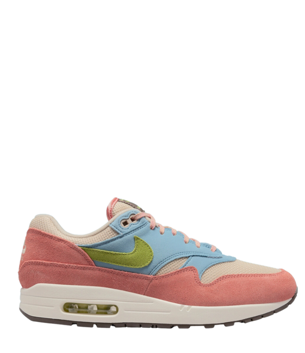 Nike Nike Air Max 1 Madder Root / DV3196-800 - SneakerMood