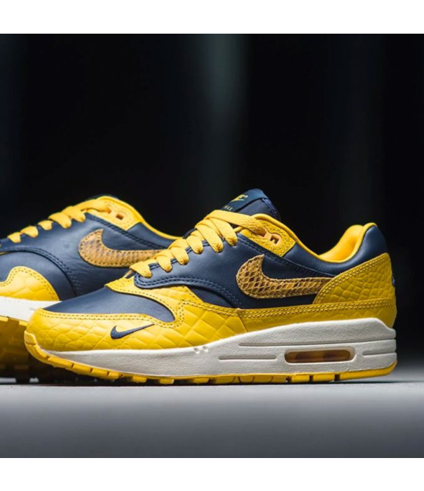 Nike Nike Air Max 1 Premium 'Michigan' / FJ5479-410 - SneakerMood