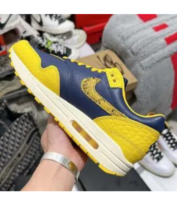 Nike Nike Air Max 1 Premium 'Michigan' / FJ5479-410 - SneakerMood