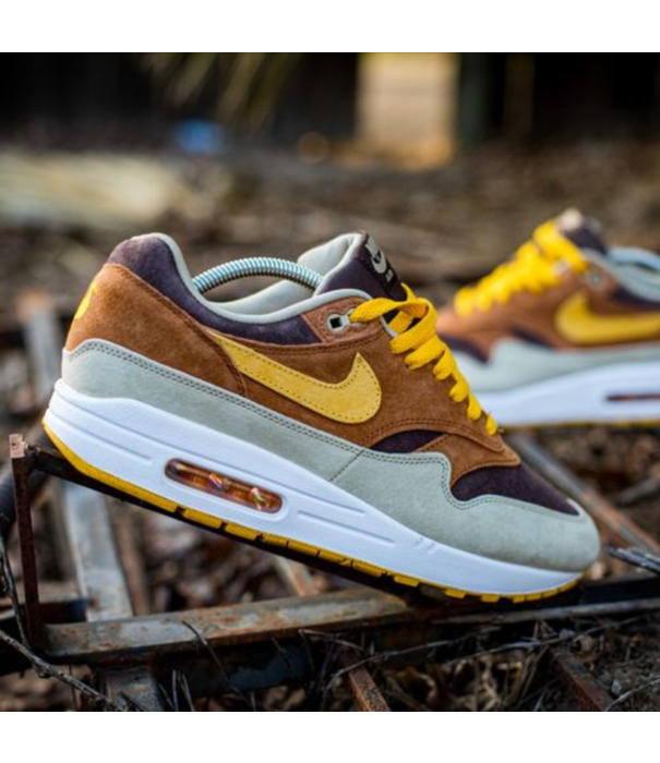 Nike Air Max 1 Duck Pecan