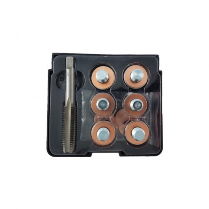 Weber Tools Carterplug Reparatie set M11 x 1.5 - WT-2117