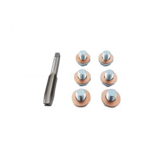 Weber Tools Carterplug Reparatie set M11 x 1.5 - WT-2117