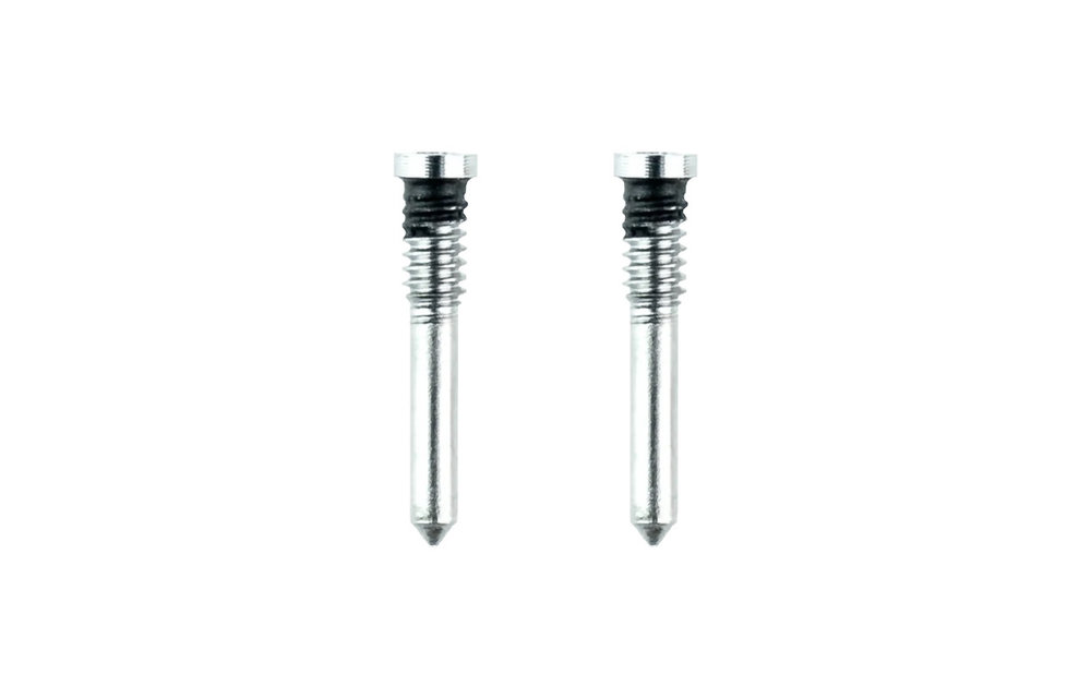 Pentalobe schroeven - Zilver voor iPhone X/XR/XS/XS Max/11/11 Pro/11 Pro Max/12 Mini/12/12 Pro/12 Pro Max