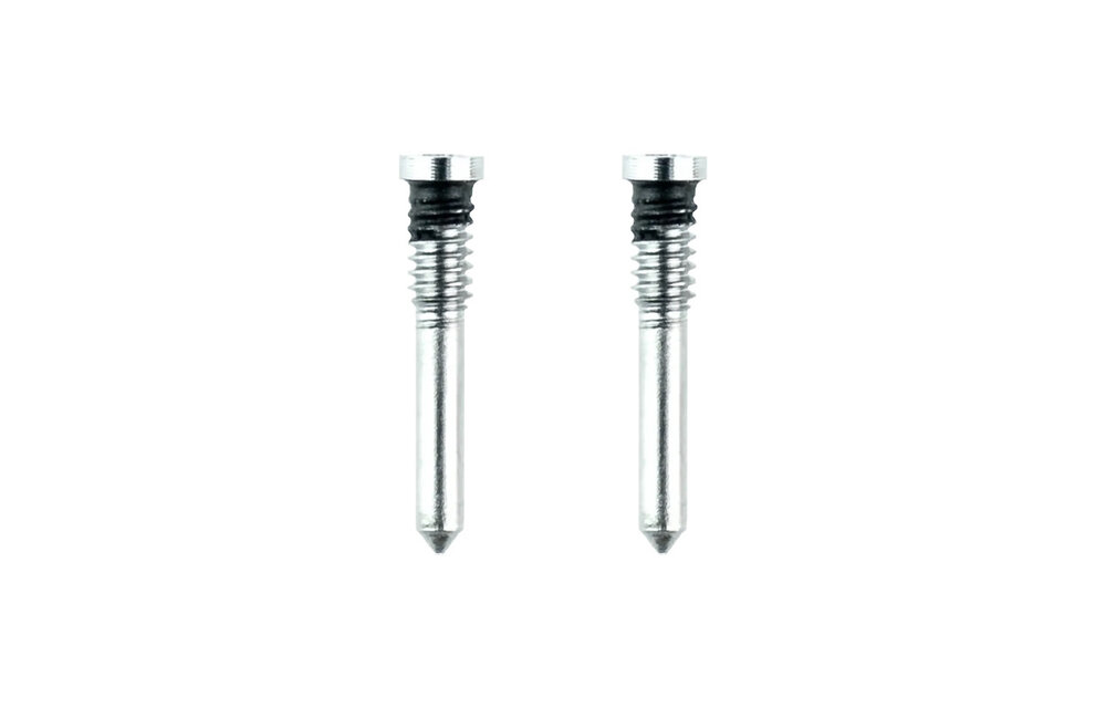 Pentalobe schroeven - Zilver voor iPhone X/XR/XS/XS Max/11/11 Pro/11 Pro Max/12 Mini/12/12 Pro/12 Pro Max