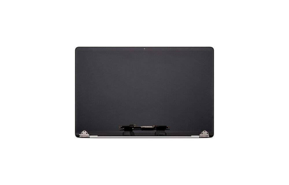 LCD scherm (compleet) - Zilver voor Macbook Pro (Retina) 16" 2019 A2141