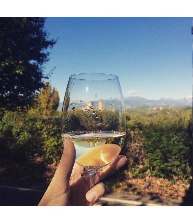 Cielo Pinot Grigio Blush Rose IGT | rose wijn | Faberwineworld.nl ...