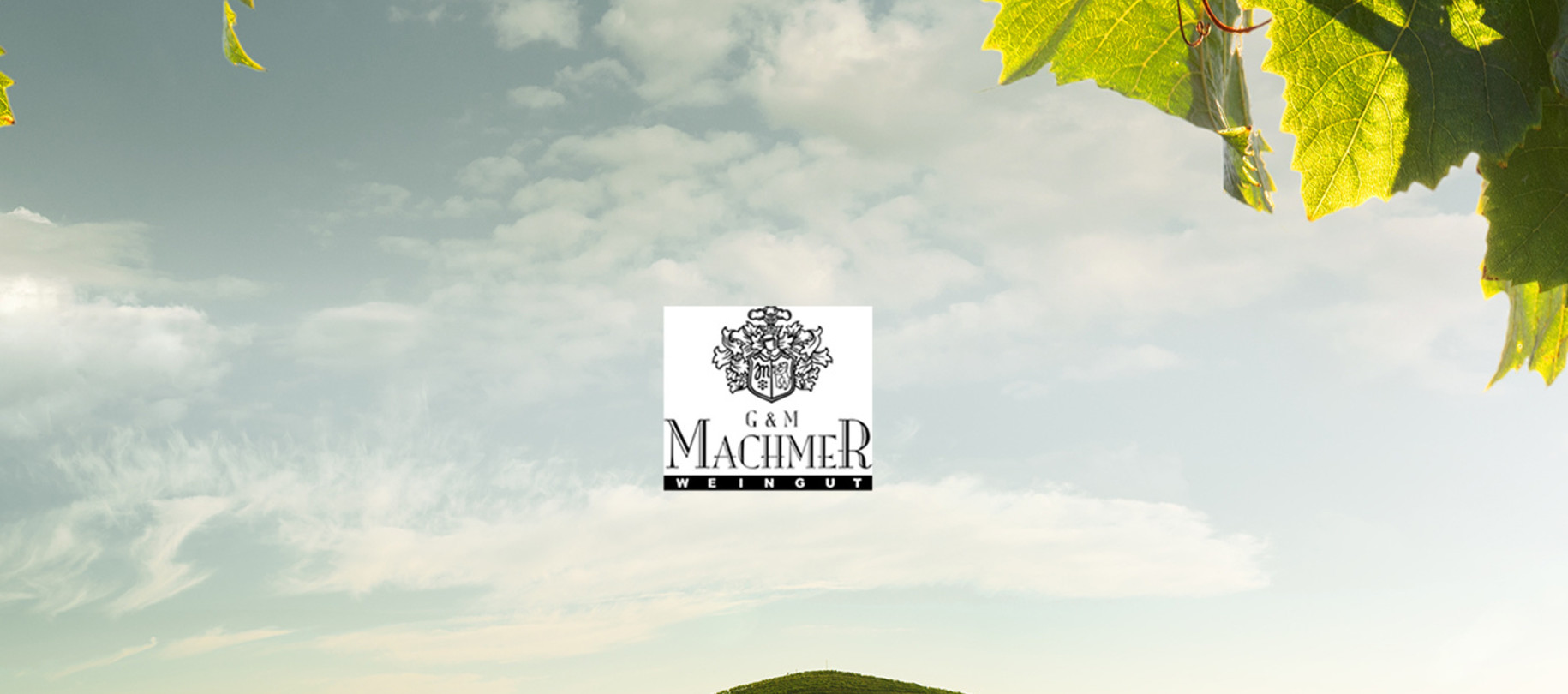 Weingut Machmer