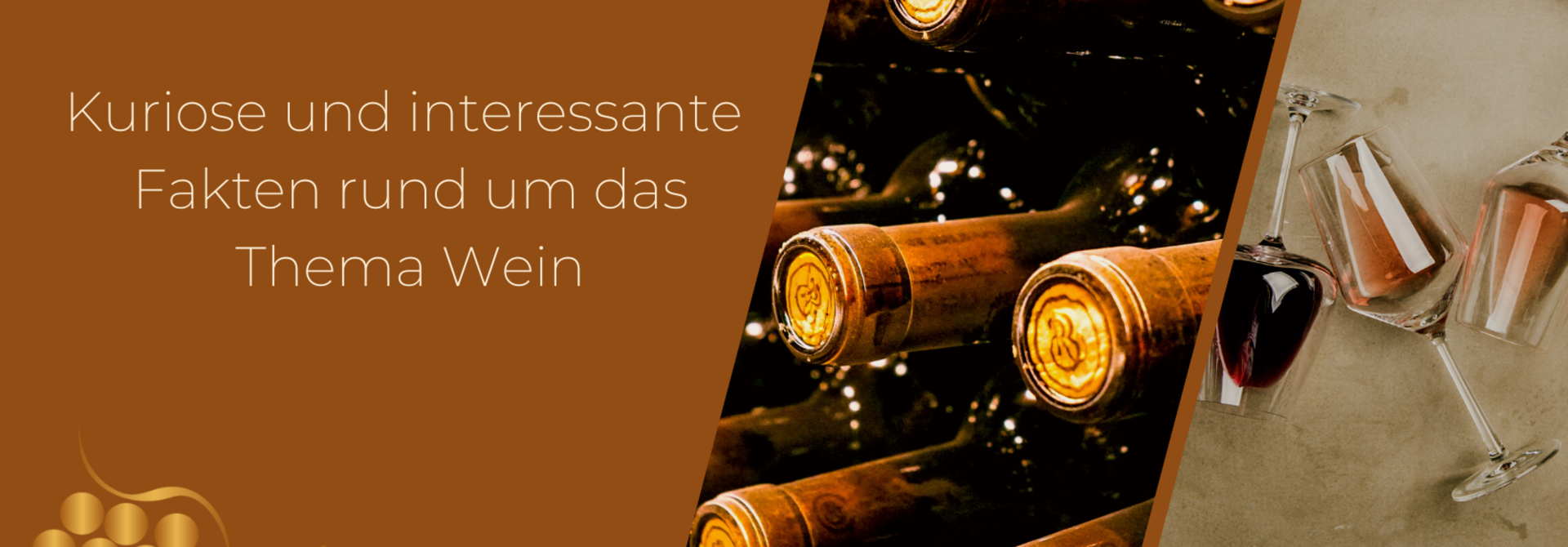 Weinwissen: Kuriose und interessante Fakten rund um das Thema Wein.