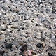 Zand met Grind gemengd per m3