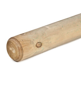 Paal 010 Geïmp 400cm
