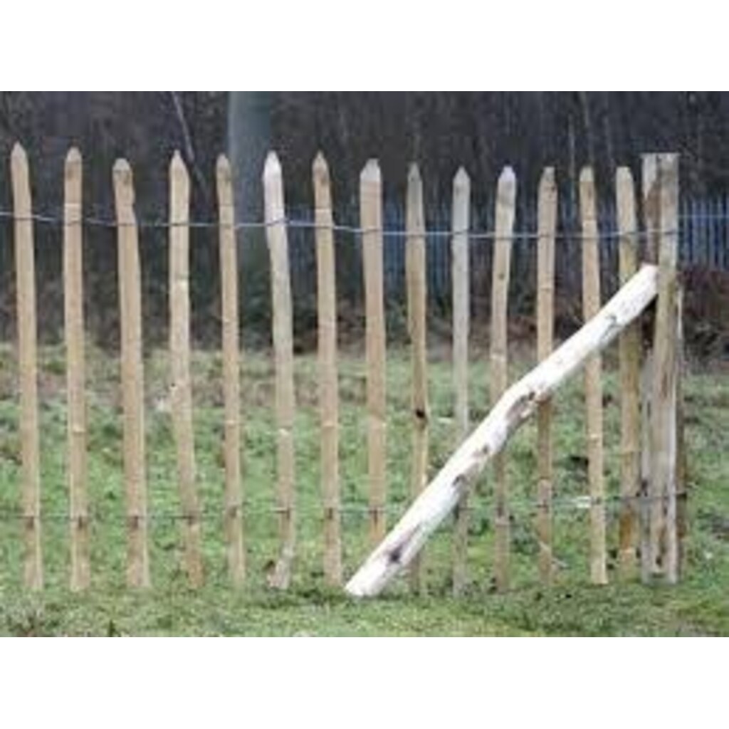 Schapenhek Kastanje hout