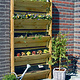Planten etagiere Moestuin