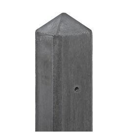 Berton©-paal Schelde Antaciet. diamantkop