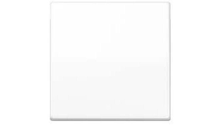 Schakelwip voor schakelaar en impulsdrukker