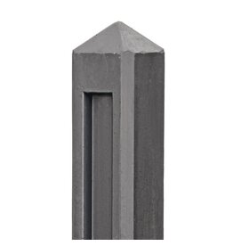 Berton©-paal Hunze Antaciet. diamantkop