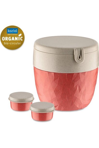 Bentobox Coral