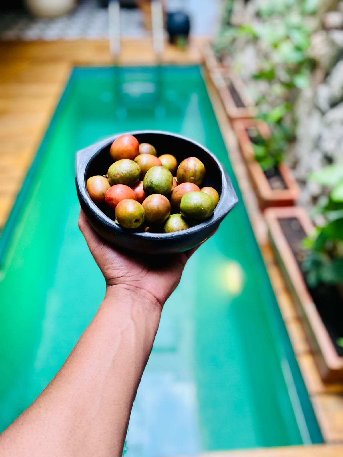 Colombian Black Pottery schaal - Cazuela-3