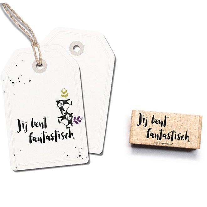 Stempel Tekst Jij bent fantastisch 2449