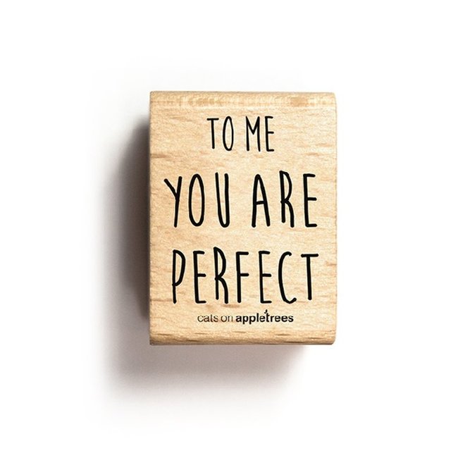 Stempel Tekst To me you are perfect 27258