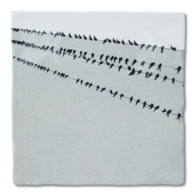 Birds in a row - Small
