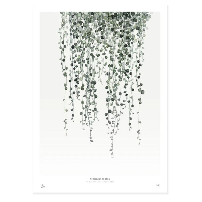 Art Print String of Pearls 30x40