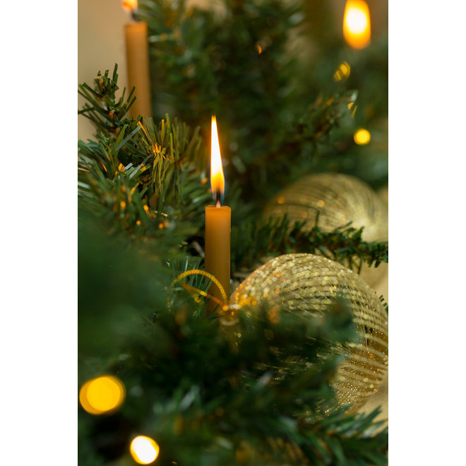 Potlood kaarsjes kort - CAMEL