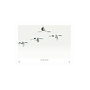 Art Print Cranes are flying 40x50