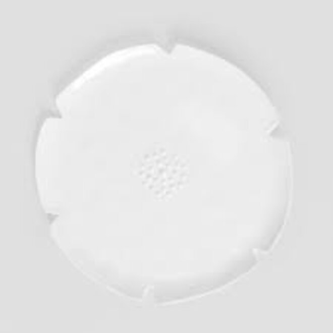 Blooming - Schaal - Medium