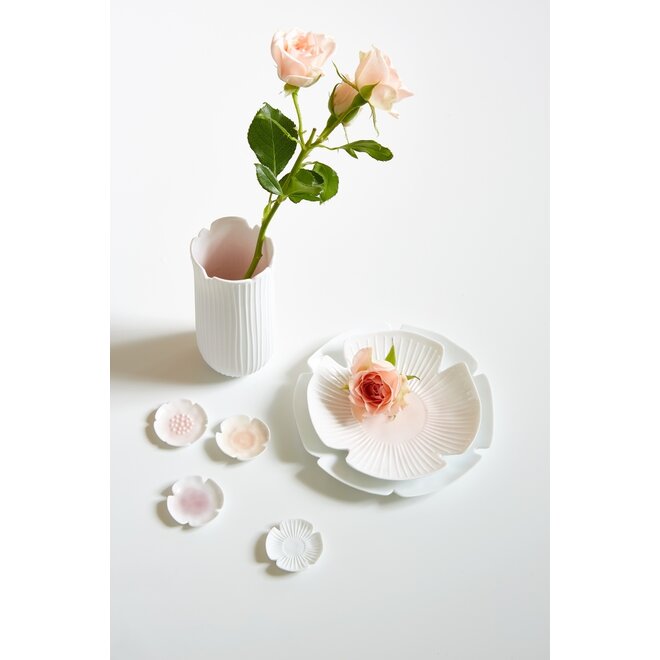 Blooming - Schaal - Medium