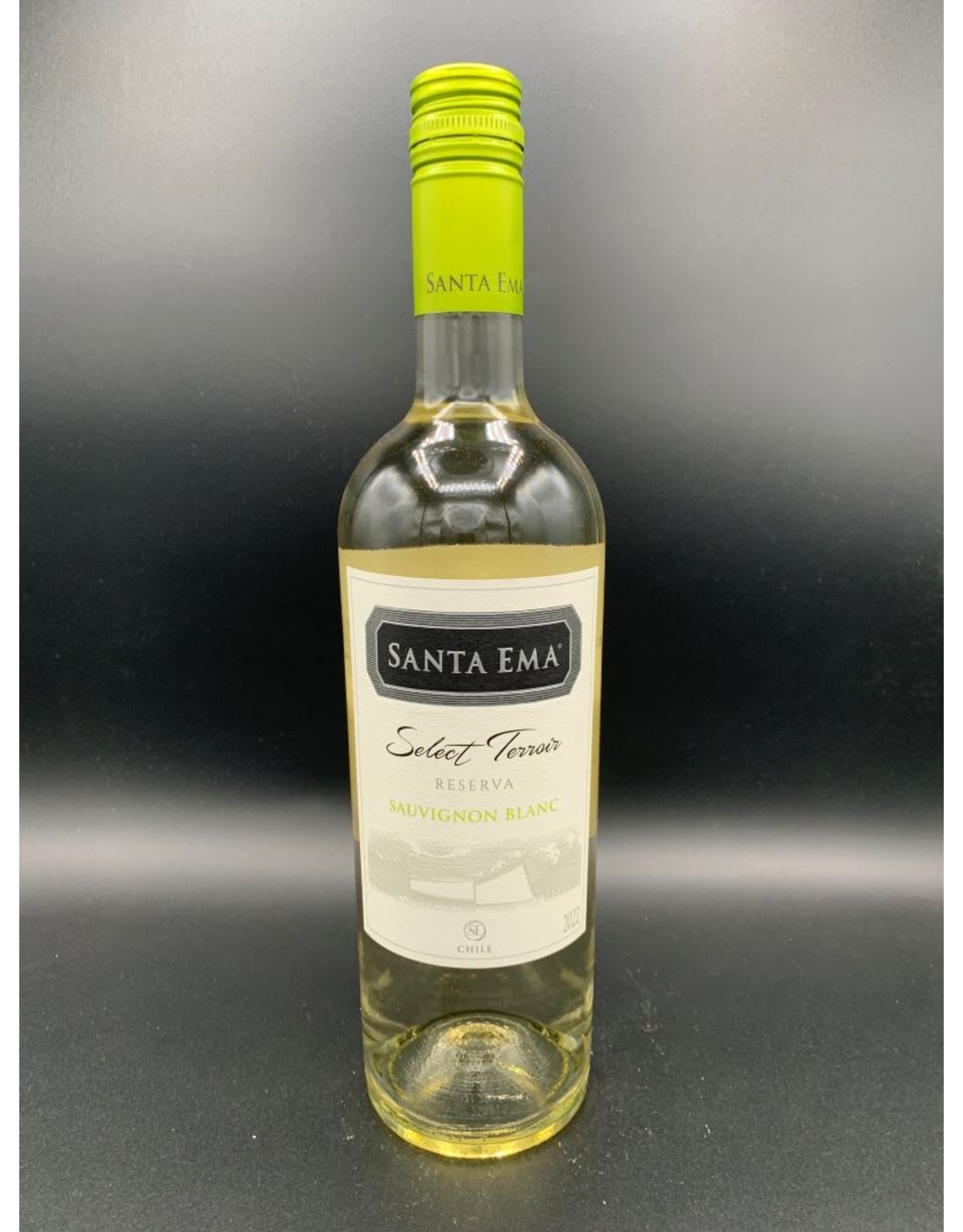 Santa Ema Santa Ema - Sauvignon blanc - 2022