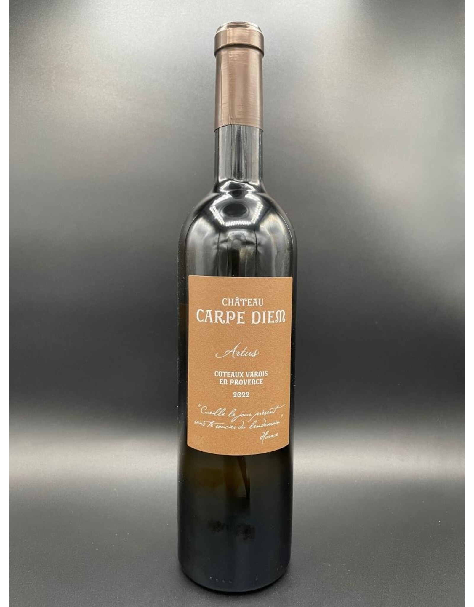 Château Carpe Diem Chateau Carpe Diem - Artus - 2021/22