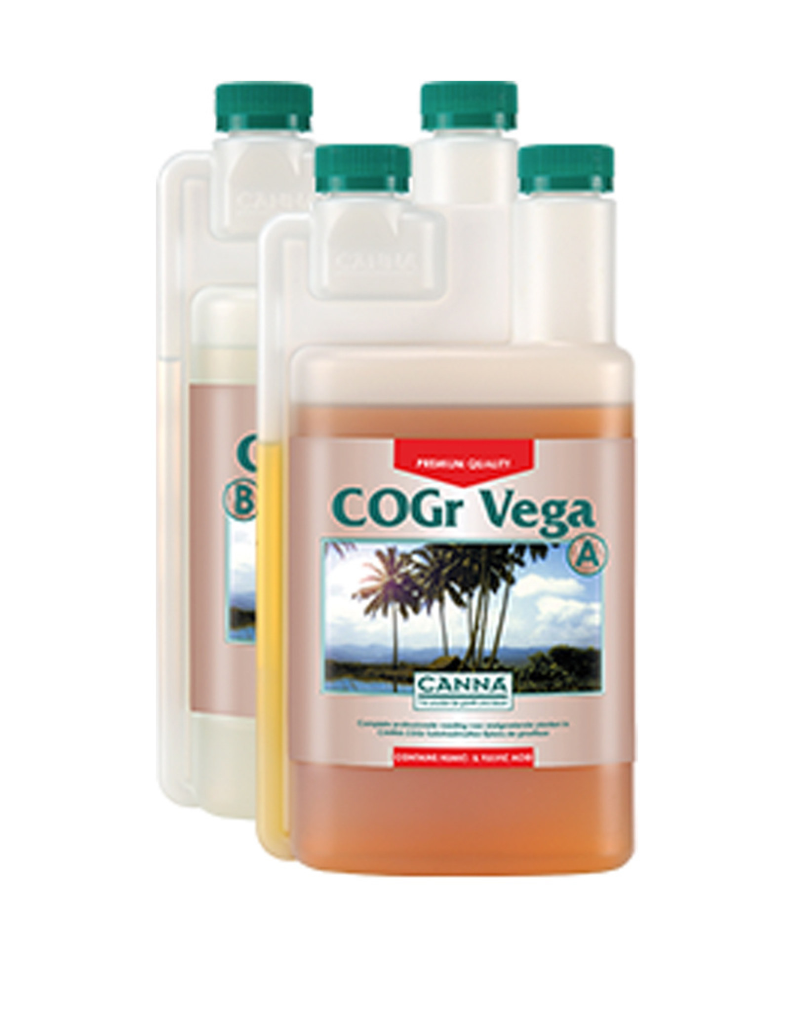 CANNA CANNA COGR VEGA A&B