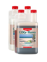 CANNA CANNA COGR FLORES A&B