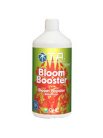 T.A. (GHE) T.A. BLOOM BOOSTER (BUD)